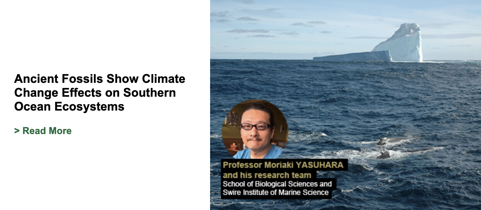 Ancient Fossils Show Climate Change Effects on Southern Ocean Ecosystems